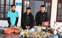 Hai anh em ruột ở Thanh Hóa mở "công xưởng" sản xuất pháo hoa trái phép