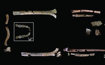 Lộ diện bộ hài cốt cổ xưa nhất của "loài người thực thụ"