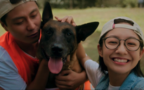 VTV lên sóng giờ vàng dòng phim chất lượng cao Miniseries