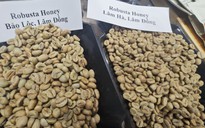 Giá cà phê hôm nay 22-1: Robusta bất ngờ tăng 3 con số
