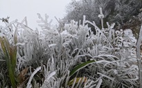 Miền Bắc chìm trong rét đậm, rét hại, Mẫu Sơn lạnh 0 độ C