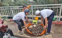 Xử lý liên tục để tránh tình trạng lực lượng chức năng rời đi rồi tái lấn chiếm