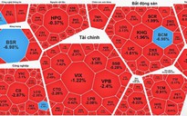 Chứng khoán ngày 23-1: Cổ phiếu trụ kéo thị trường giảm mạnh