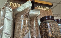 Giá cà phê hôm nay 23-1: Lại đi lùi, mong manh mốc 100.000 đồng/kg
