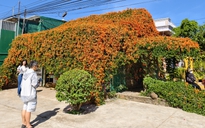 Căn nhà đang "nổi như cồn" ở Lâm Đồng