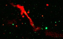 Lỗ đen khổng lồ giữa thiên hà chứa Trái Đất có thể “tái sinh”?