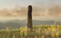 Một nhánh mới của sự sống Trái Đất vừa lộ diện?