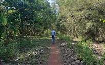 Chấp thuận nhà đầu tư đề xuất dự án đường kết nối từ cầu Mã Đà với Vành đai 4 TPHCM