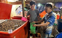 Công an TPHCM công bố hình ảnh bên trong cơ sở ngâm ốc bươu bằng hoá chất