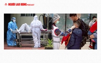 Cảnh báo virus Nipah có tỉ lệ tử vong cao, Bộ Y tế khẩn trương phòng chống