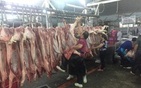 Giá heo hơi hôm nay, 28-1: Giá heo mảnh ở chợ đầu mối tăng cao