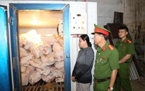 Đồng Nai: Mua 12 tấn heo bệnh do bị dịch tả heo châu Phi bán ra thị trường