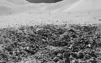 Mẫu đá tàu NASA đem về làm phức tạp thêm lịch sử Trái Đất