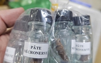 Thông tin TPHCM ngày 28-1: Cháy lớn tại xưởng pallet nhựa; Công an bắt giữ 3 người bán chất kịch độc