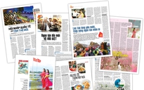 ĐÓN ĐỌC BÁO NGƯỜI LAO ĐỘNG XUÂN BÍNH NGỌ