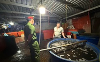 Lỡ ăn ốc bươu bị ngâm "thuỷ tinh lỏng", người tiêu dùng đòi bồi thường được không?