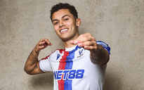 Crystal Palace chiêu mộ chân sút số 1 Brennan Johnson của Tottenham
