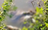 Bắt giữ nghi phạm sát hại nữ sinh cấp 2 ở Cà Mau