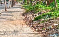 Dọn dẹp bãi rác