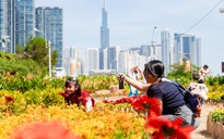 VIDEO: Người dân nôn nao chụp ảnh tại một trong những vườn hoa Tết 2026 đầu tiên của TPHCM