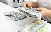 Dự báo mới nhất về giá USD tại Việt Nam năm 2026