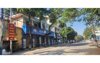 Gần 14.000 hộp pate được Công ty CP đồ hộp Hạ Long đưa "ra lò" đều từ thịt heo nhiễm bệnh