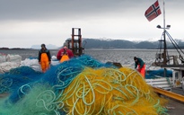 Lưới đánh cá châu Âu “hóa lá chắn” chặn UAV Nga ở Ukraine 