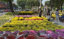 Không còn cảnh hét giá, người dân TPHCM tấp nập đi mua hoa Tết sớm