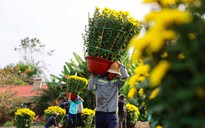 Làng hoa Tết vào xuân