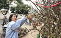 Dự báo chi tiết thời tiết cả nước dịp Tết Nguyên đán Bính Ngọ 2026