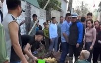 Dựng cây nêu đón Tết, 3 thanh niên bị điện giật phải nhập viện cấp cứu