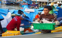 Ngư dân TPHCM phấn khởi với chuyến biển cuối năm