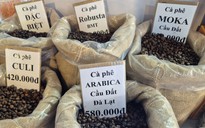 Giá cà phê hôm nay 13-2: Tăng mạnh sát Tết