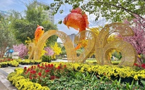 TPHCM rực rỡ sắc màu những ngày Tết đến Xuân về