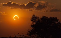 Thế giới đón “nhật thực Nam Cực” ngay mùng 1 Tết Bính Ngọ