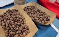 Giá cà phê hôm nay 14-2: Chốt tuần tăng tiếp