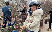 Dự báo thời tiết Tết Nguyên đán, xuất hiện diễn biến mới vào đêm giao thừa