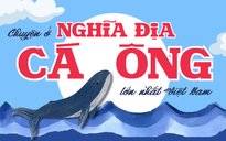 Chuyện ở nghĩa địa cá Ông lớn nhất Việt Nam