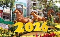 Đi xem đường hoa nghệ thuật Cần Thơ, gửi xe ở đâu?