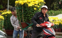 "Mang Tết về nhà" từ những chợ hoa công viên