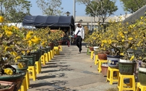 Chợ hoa Đà Nẵng ngày 28 Tết, tiểu thương “ngồi không yên”