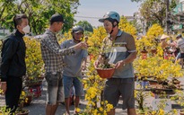 VIDEO: Xả hoa Tết giá 100.000 đồng vào trưa 29 Tết tại TPHCM