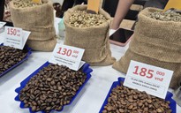 Giá cà phê hôm nay 19-2: Quay đầu đi lên