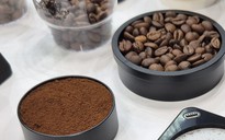 Giá cà phê hôm nay 22-2: Doanh thu một nhãn hàng cà phê đạt gần 8,4 tỉ USD