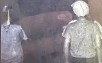 Trích xuất camera, Công an TPHCM  bắt 3 thanh thiếu niên cướp giật lúc rạng sáng