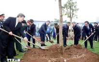 Tổng Bí thư Tô Lâm dự Lễ phát động "Tết trồng cây đời đời nhớ ơn Bác Hồ"