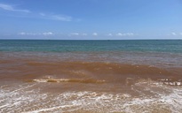 Nước biển ở Gia Lai bất ngờ đổi màu đỏ lạ, người dân lo ngại