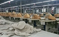 Thêm trường hợp người sử dụng lao động được tạm dừng đóng BHXH từ ngày 1-3