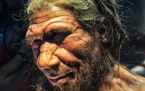 Những phụ nữ lấy chồng khác loài: DNA "ma" ở loài người được giải mã