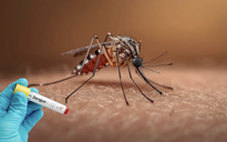 Nam sinh nguy kịch tại lớp học vì sốt xuất huyết do muỗi đốt